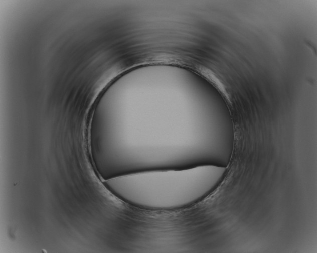 X0000092321091200709141046