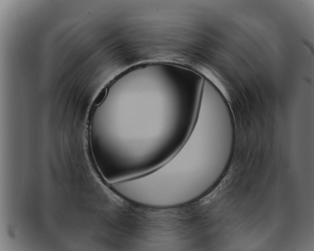 X0000092321093200709141046