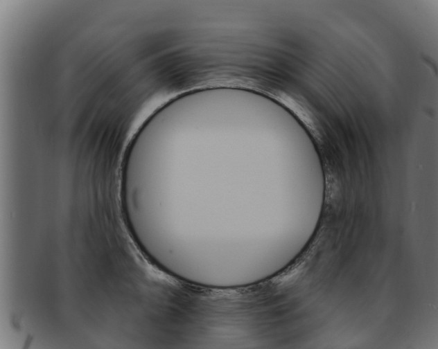 X0000092321094200709141046