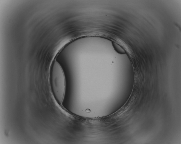 X0000092321095200709141046