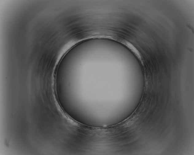 X0000092321096200709141046