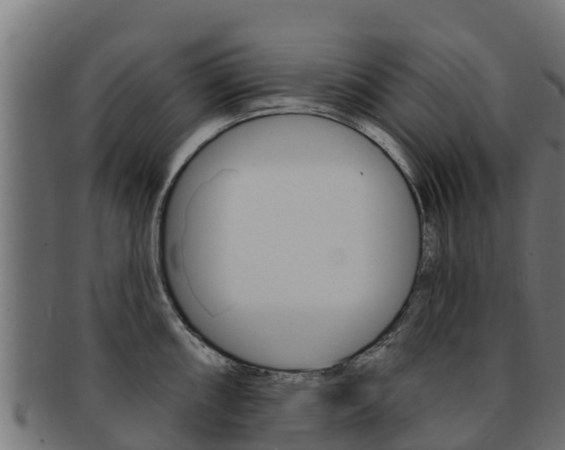 X0000092321098200709141046