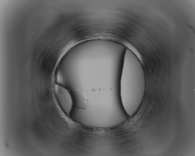X0000092321099200709141046