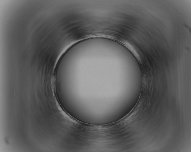 X0000092321100200709141046