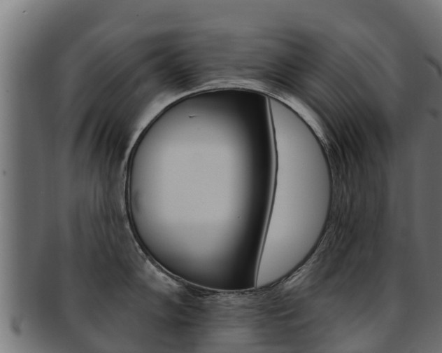 X0000092321102200709141046