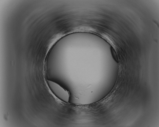 X0000092321103200709141046