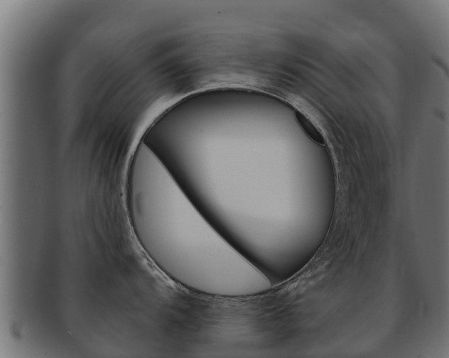 X0000092321104200709141046