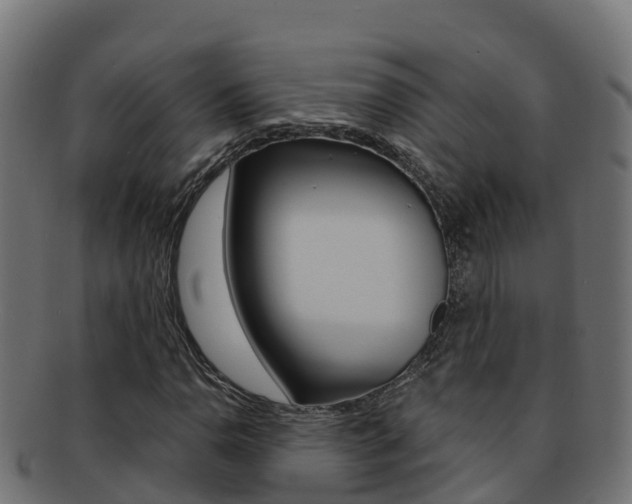 X0000092321110200709141045