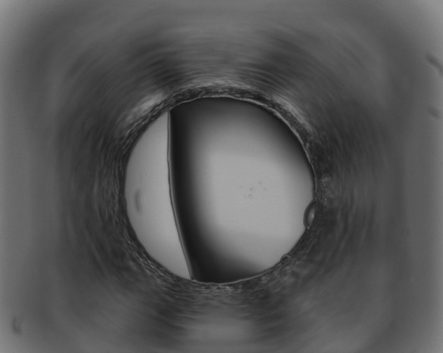 X0000092321111200709141045