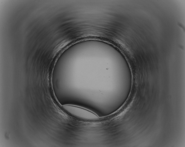X0000092321113200709141045