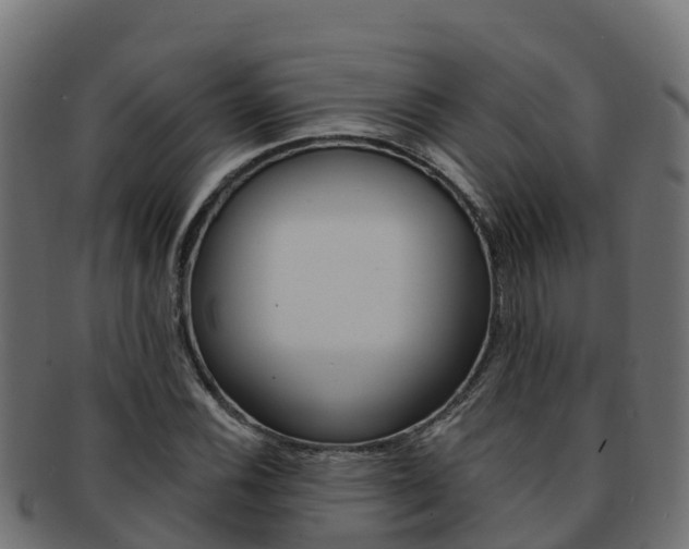 X0000092321116200709141045