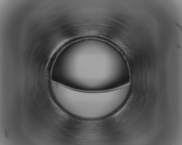 X0000092321118200709141045
