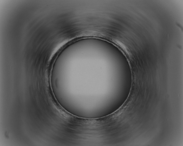 X0000092321120200709141045