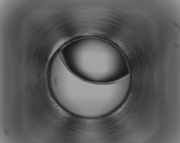 X0000092321122200709141045
