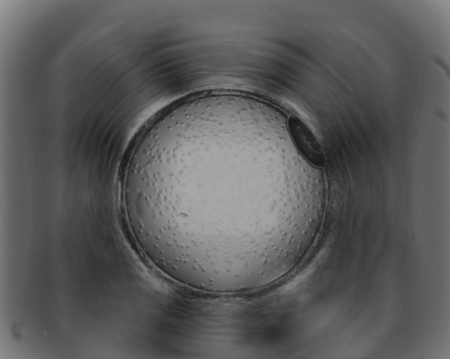 X0000092321125200709141045