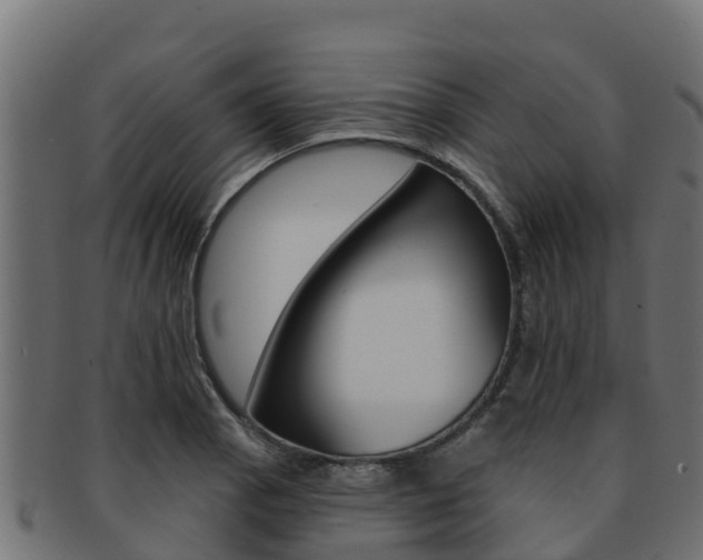 X0000092321129200709141045