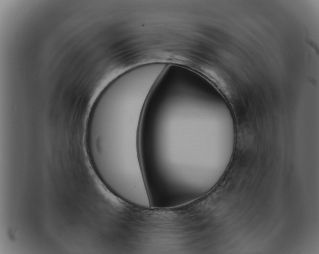 X0000092321136200709141046
