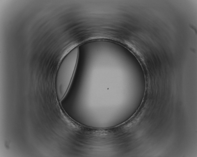 X0000092321137200709141046