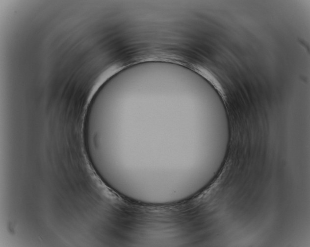 X0000092321138200709141046