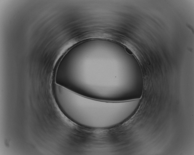 X0000092321139200709141046