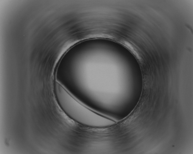 X0000092321140200709141046