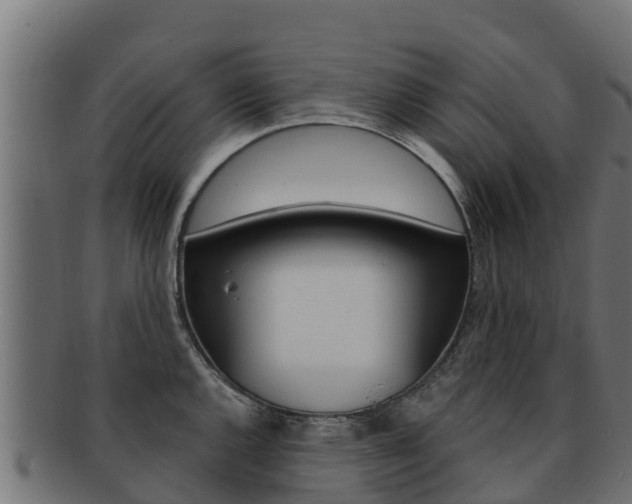 X0000092321144200709141046