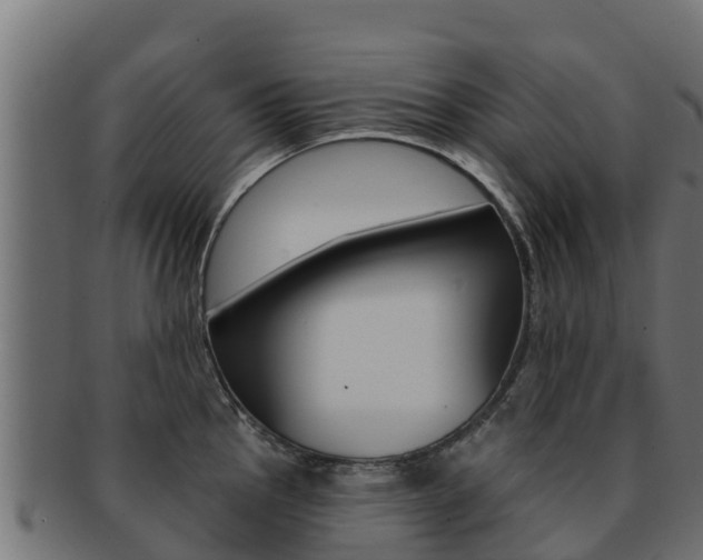 X0000092321145200709141046