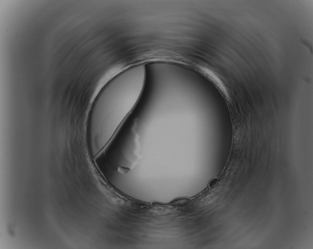 X0000092321146200709141046