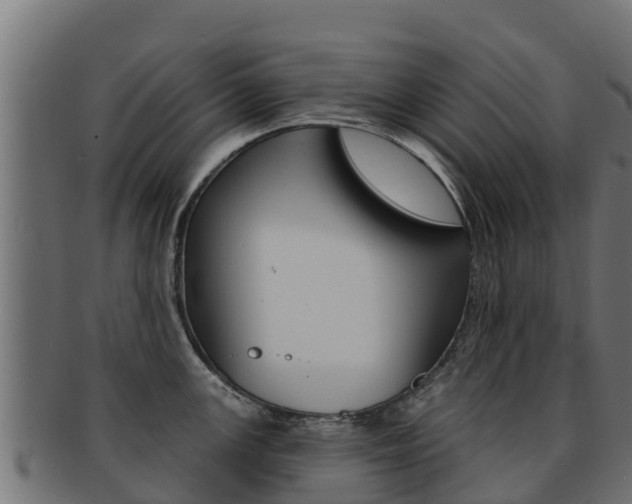 X0000092321147200709141046
