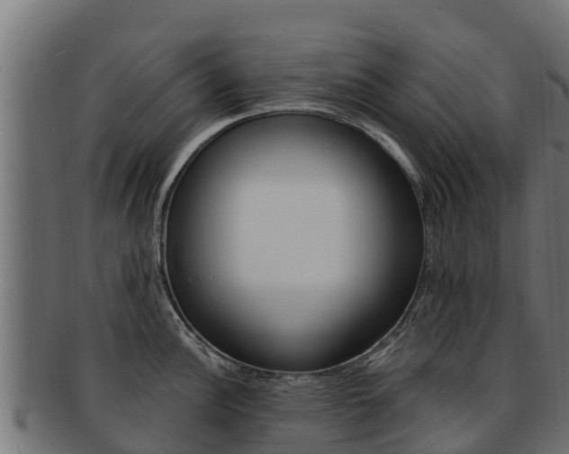 X0000092321148200709141046