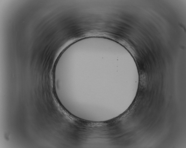 X0000092321150200709141046