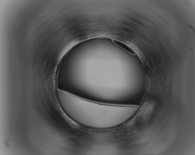 X0000092321151200709141046