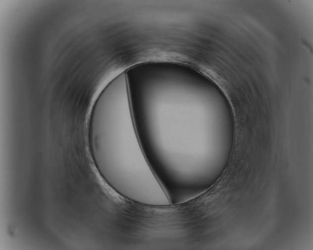 X0000092321152200709141046