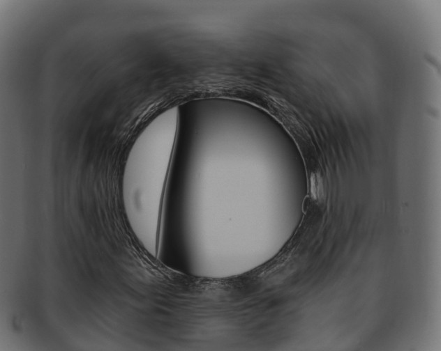 X0000092321155200709141045