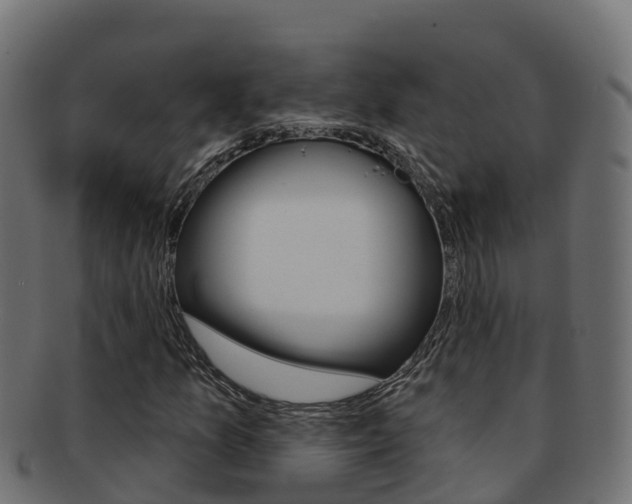 X0000092321157200709141045