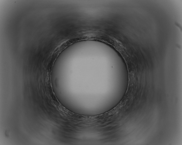 X0000092321158200709141045