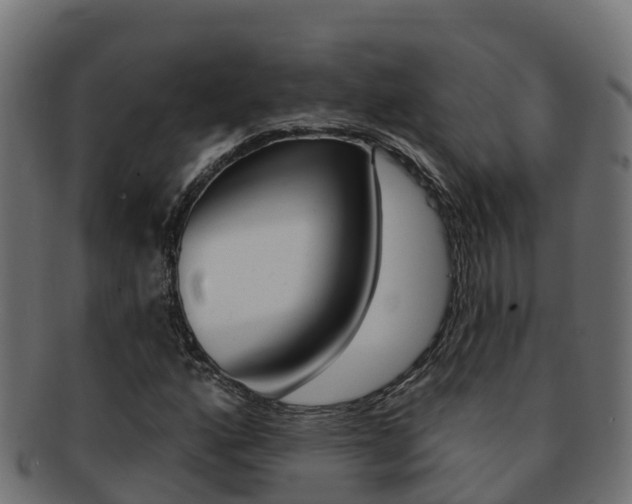 X0000092321160200709141045