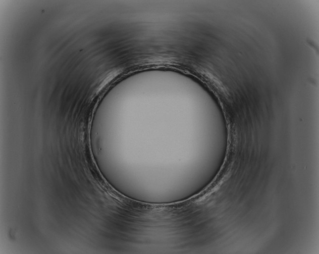 X0000092321162200709141045