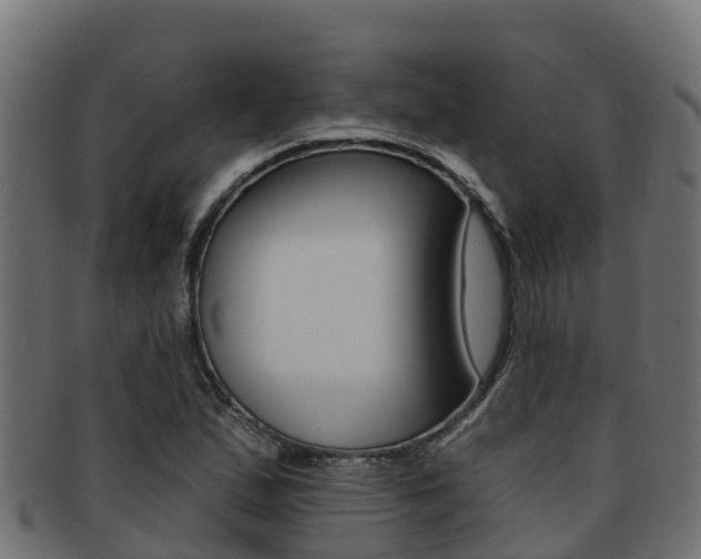 X0000092321167200709141045