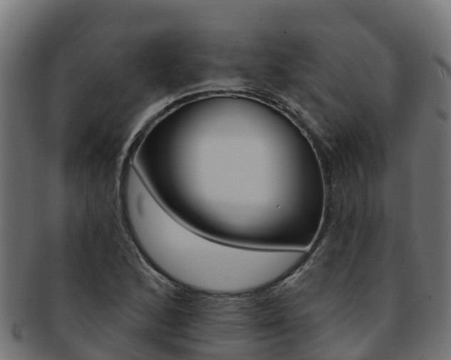 X0000092321168200709141045