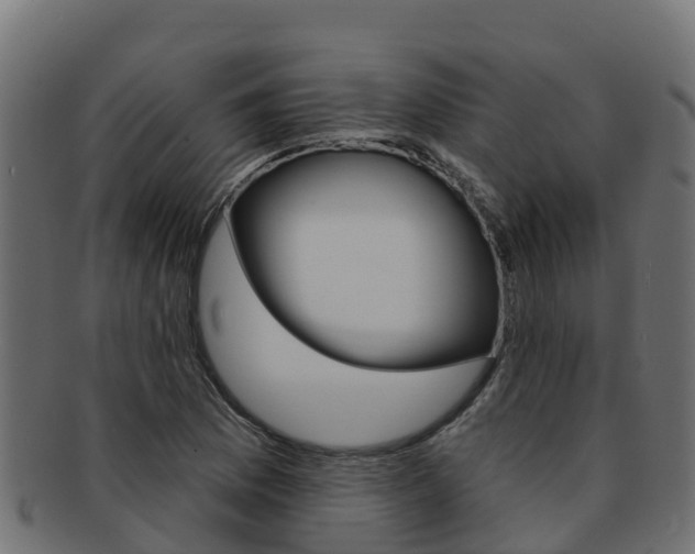 X0000092321169200709141045