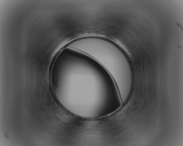 X0000092321173200709141045