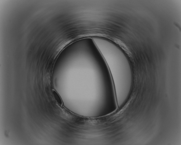 X0000092321177200709141045