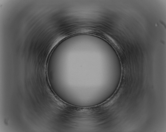 X0000092321178200709141045