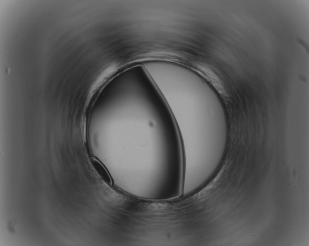 X0000092321180200709141045