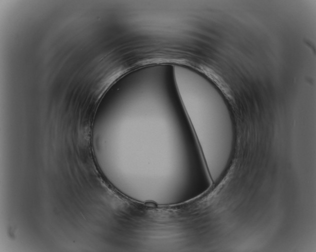 X0000092321185200709141045