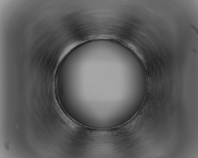 X0000092321187200709141045