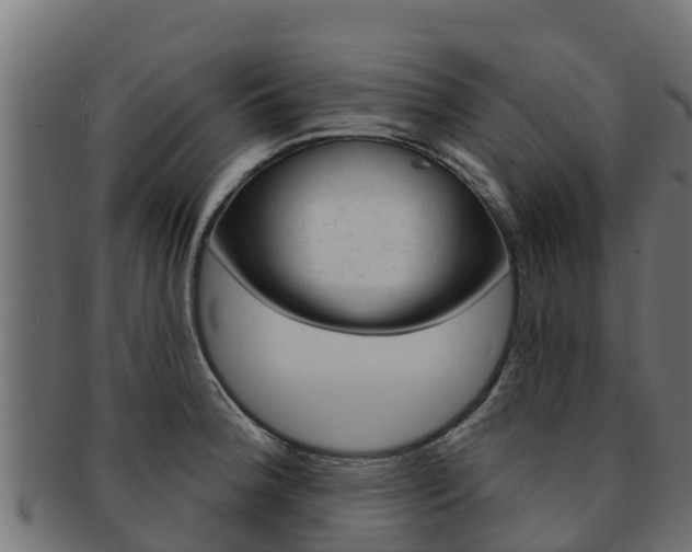 X0000092321188200709141045
