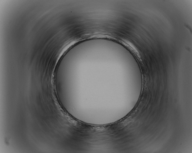 X0000092321190200709141045