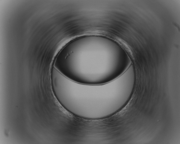 X0000092321192200709141045